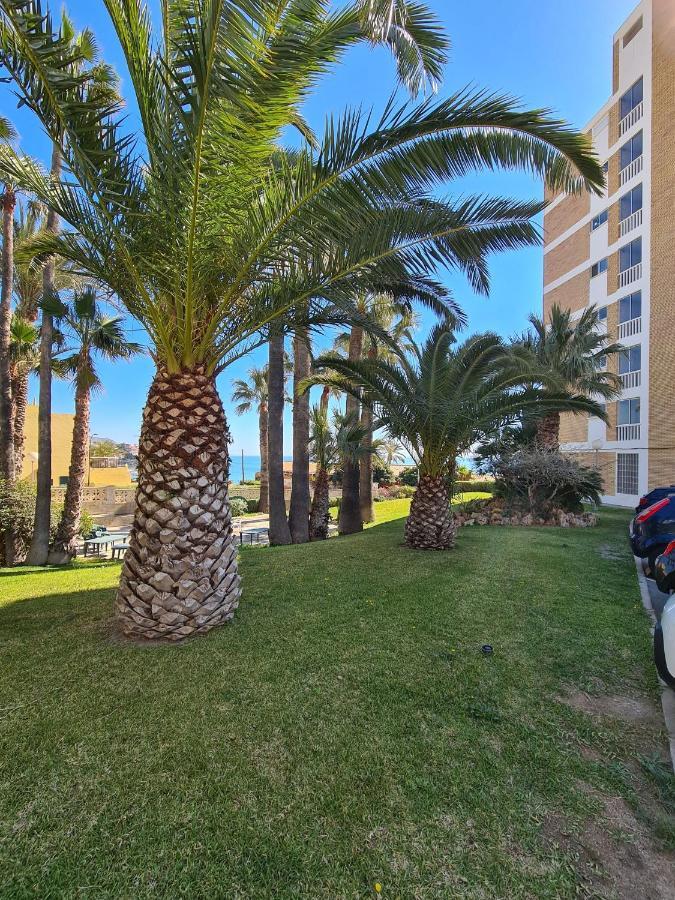 Room In Apartment - 1St Line Top Floor Apartment Carrer del Mar Exterior foto